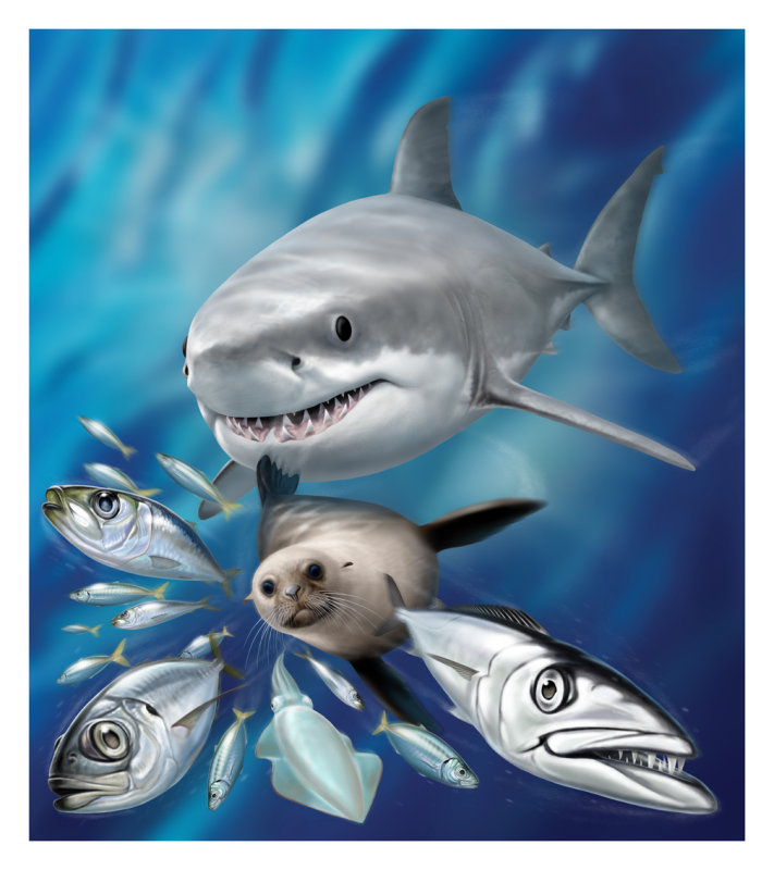 eat or be eaten.jpg