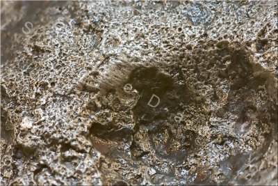 Campo del Cielo meteorite - Close up