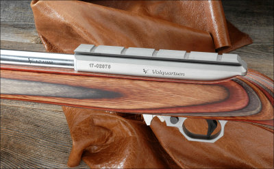 Volquartsen .17 HMR Snake