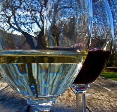 Oaks Through the Wine Glasses