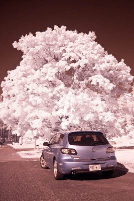 Infrared Photography - Canon 40D