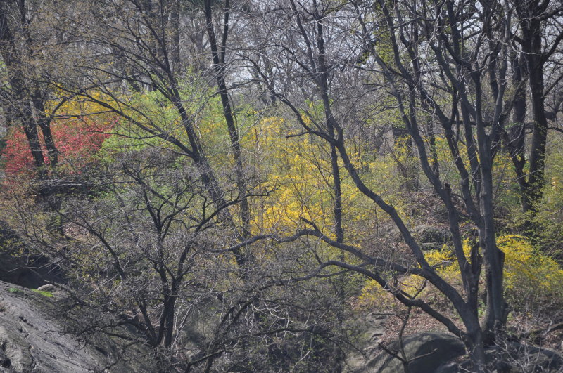 DSC_0313.JPG