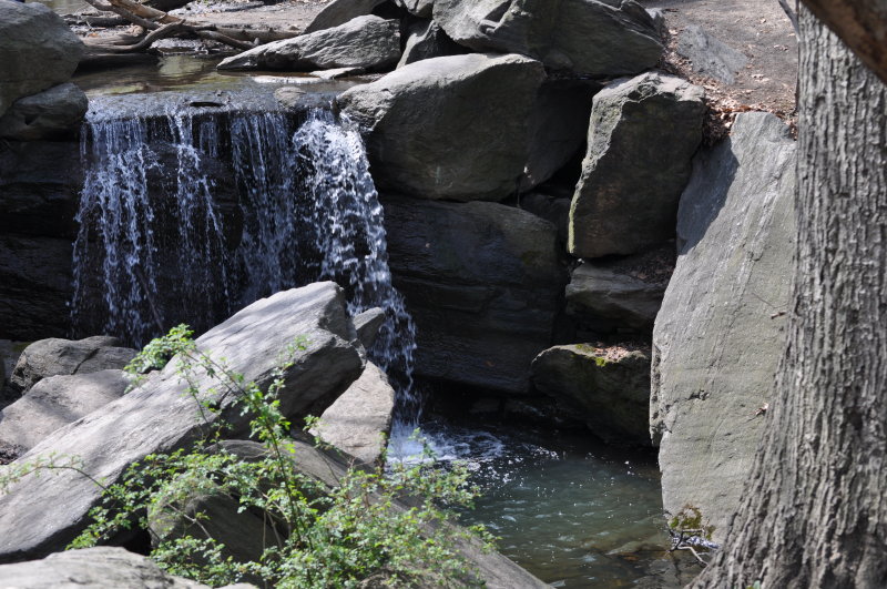DSC_0360.JPG