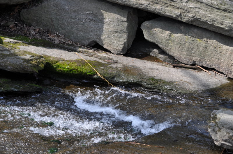 DSC_0390.JPG