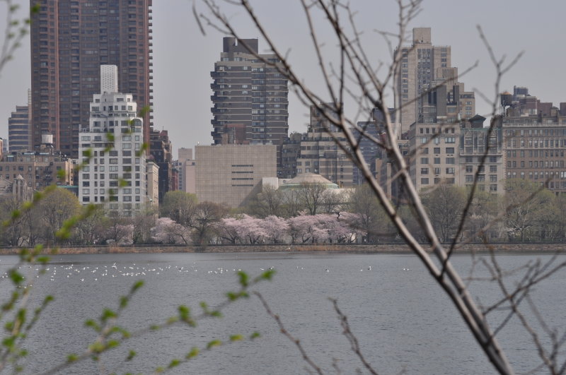 DSC_0422.JPG