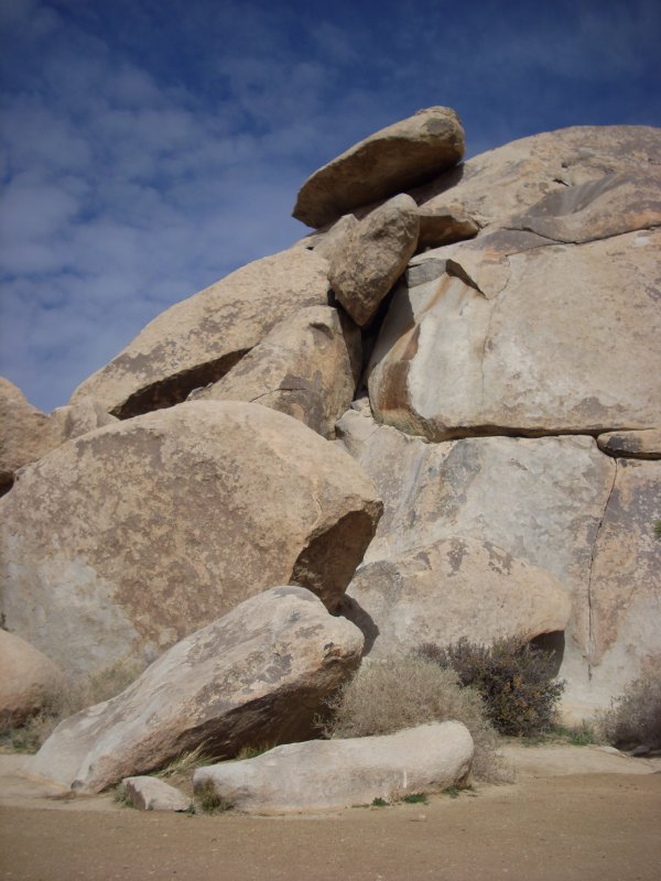 Joshua Tree