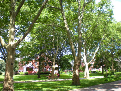 Colonels Row