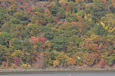 DSC_0056.JPG