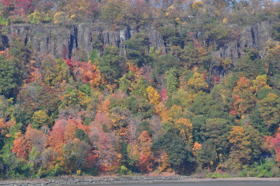 DSC_0076.JPG