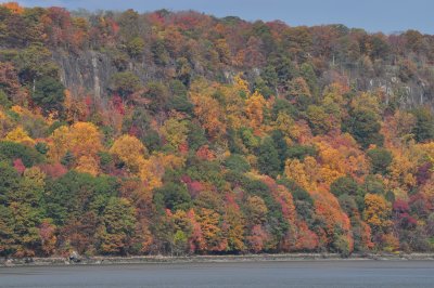 DSC_0080.JPG