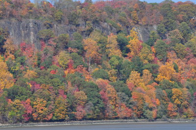 DSC_0086.JPG
