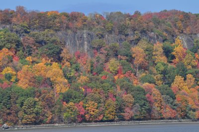 DSC_0087.JPG