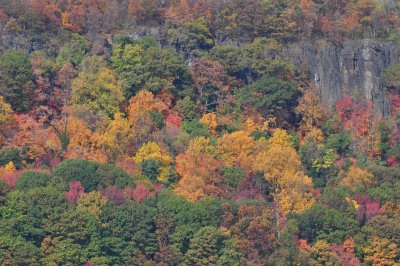 DSC_0088.JPG