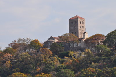 DSC_0096.JPG