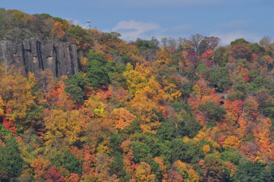 DSC_0102.JPG