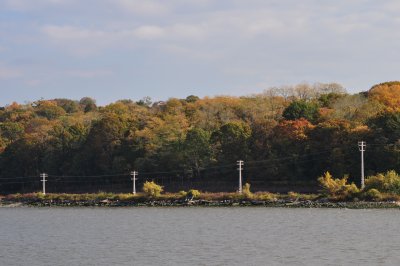 DSC_0110.JPG
