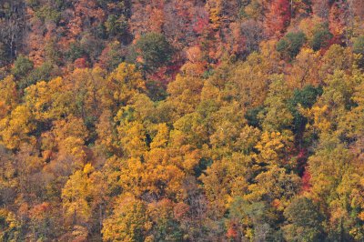 DSC_0134.JPG