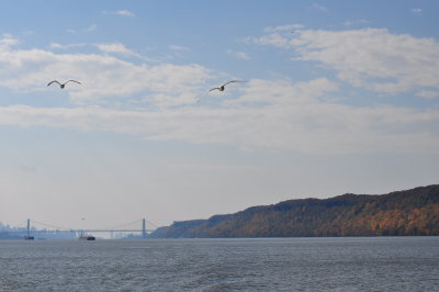 DSC_0152.JPG