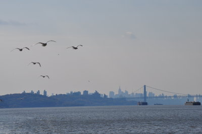 DSC_0155.JPG