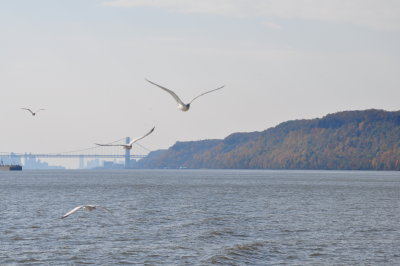 DSC_0156.JPG