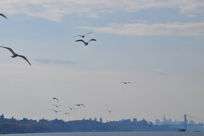 DSC_0158.JPG