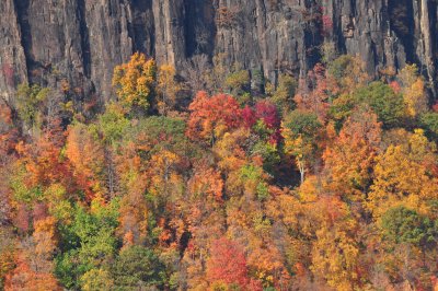 DSC_0168.JPG