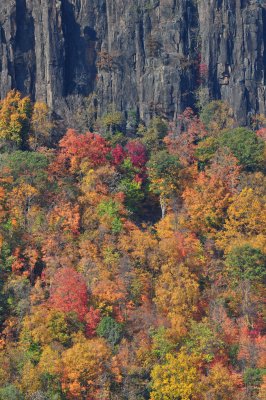 DSC_0172.JPG