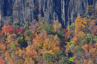 DSC_0175.JPG