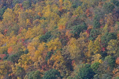 DSC_0177.JPG