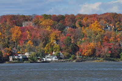 DSC_0190.JPG
