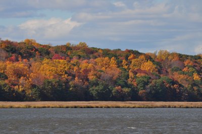 DSC_0193.JPG
