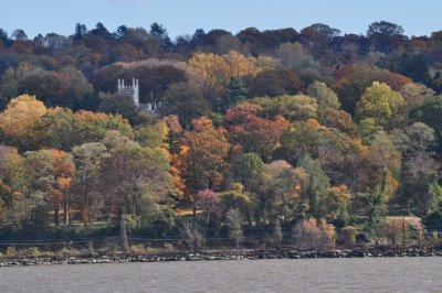 DSC_0210.JPG