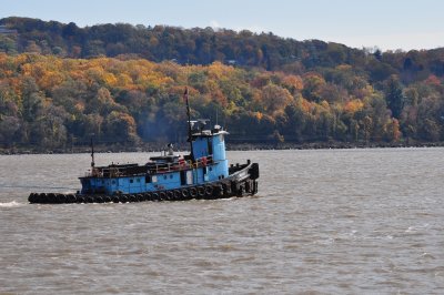 DSC_0223.JPG