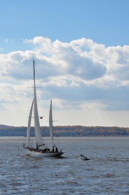 DSC_0234.JPG