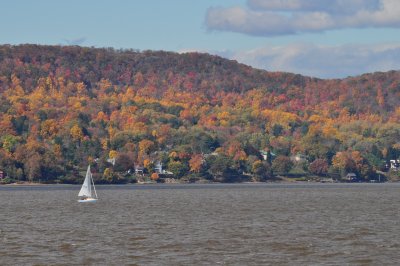 DSC_0247.JPG