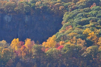 DSC_0296.JPG