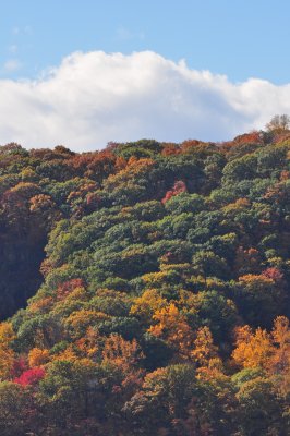 DSC_0297.JPG