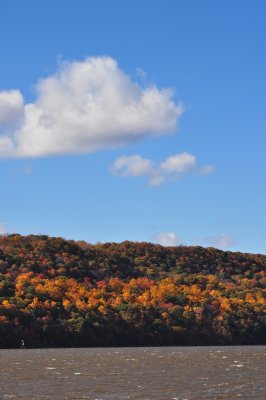 DSC_0298.JPG