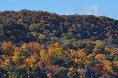 DSC_0301.JPG