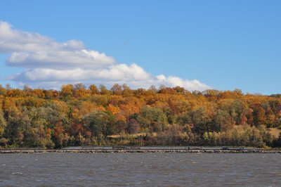 DSC_0314.JPG