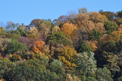 DSC_0347.JPG