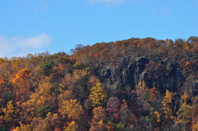 DSC_0352.JPG
