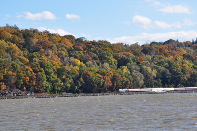 DSC_0362.JPG