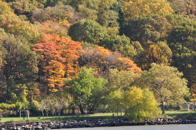 DSC_0376.JPG
