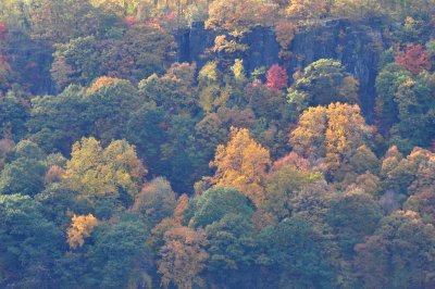 DSC_0394.JPG