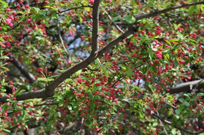 DSC_0354.JPG