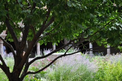 Cloisters14.jpg