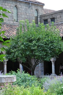 Cloisters17.jpg