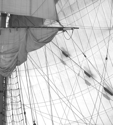 Hawaiian Chieftain