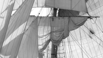 Hawaiian Chieftain